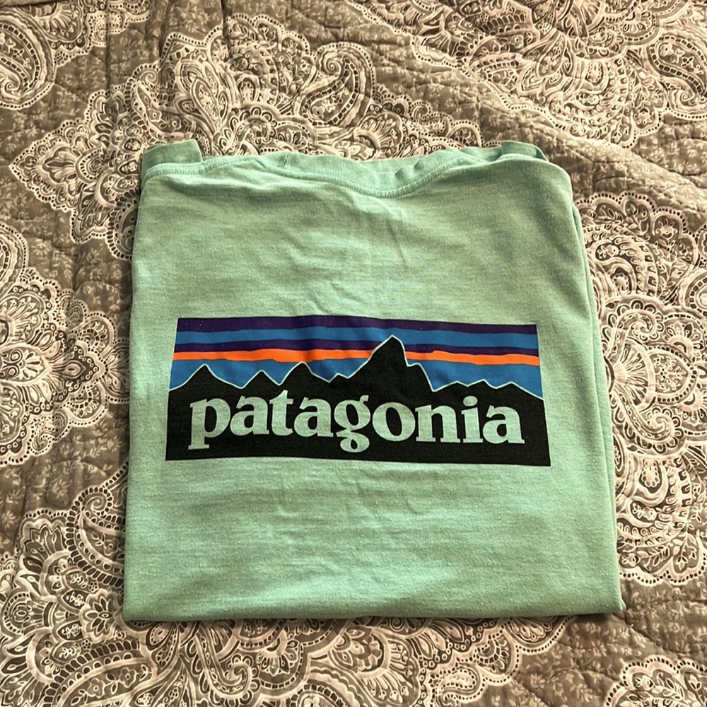 Men’s Patagonia Short sleeve Tshirt
